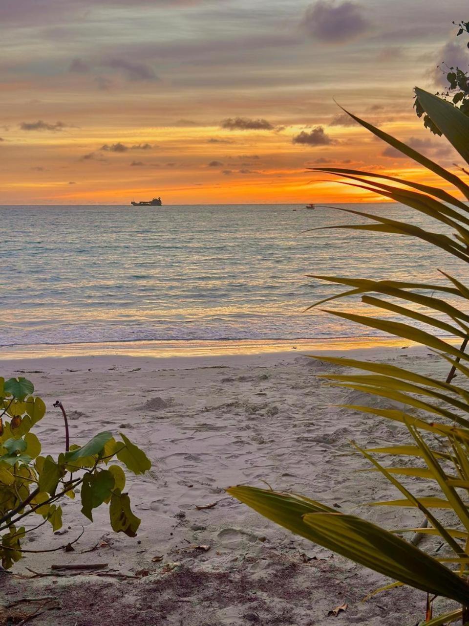 Mokara Holiday Apartment Anse Royale Luaran gambar